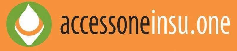 Accessoneinsu